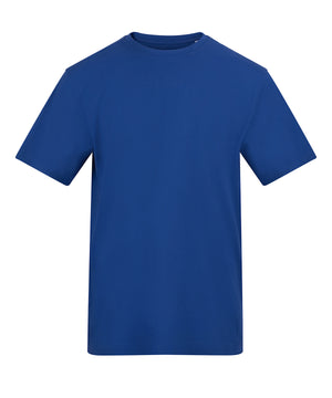 The Awdis 150 T in Royal Blue, front view