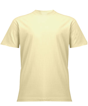 Heavyweight adult t-shirt