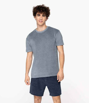 NS311 Mineral Grey Model