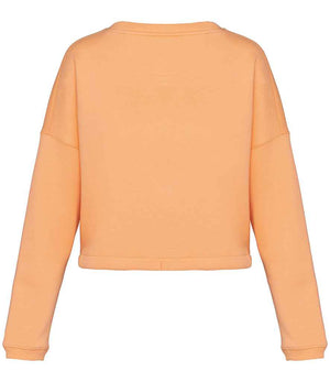 NS429 Apricot Back