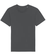Rocker the Essential Unisex T-Shirt (Sttu758) in Anthracite