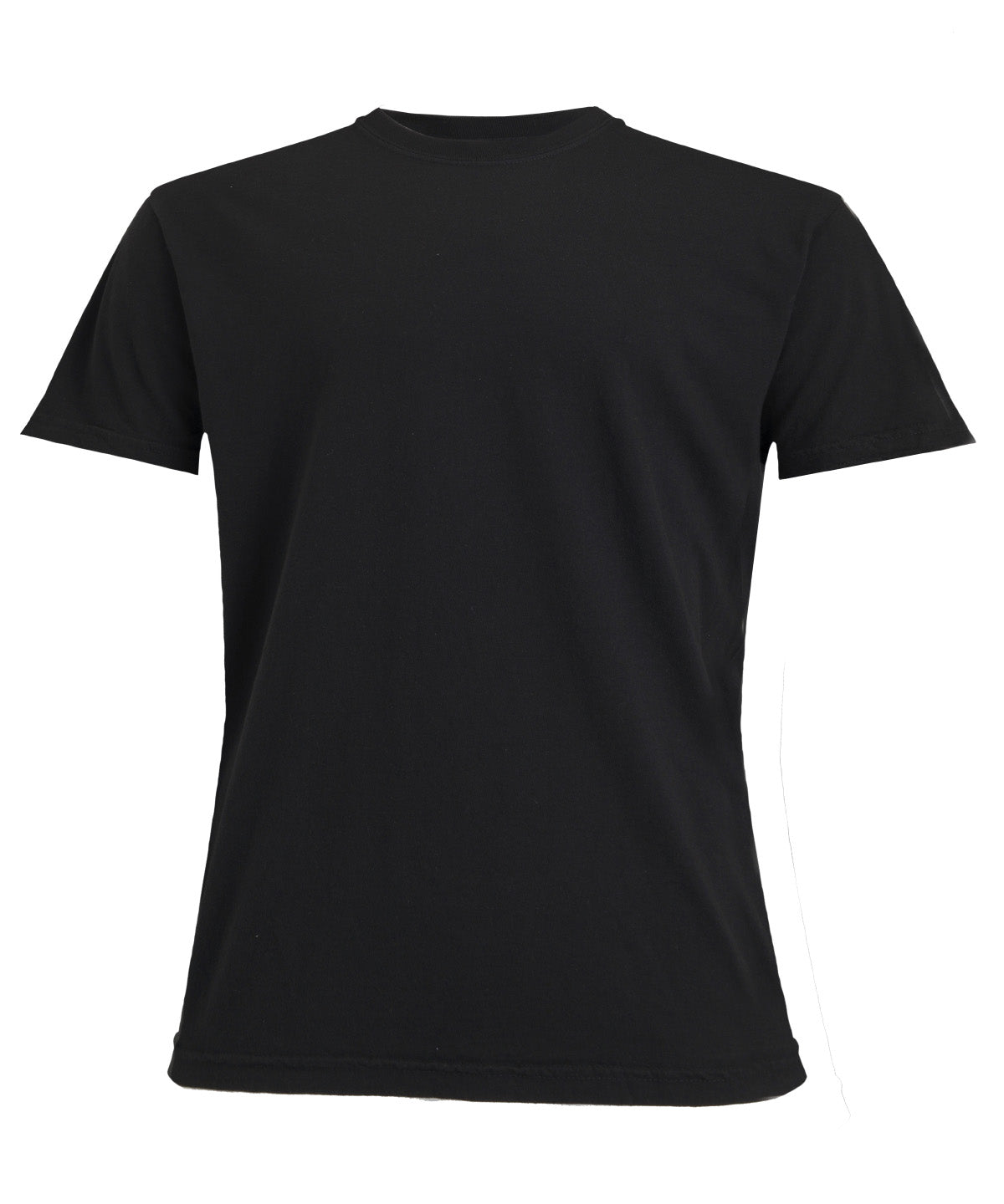 Heavyweight Adult T-Shirt in Black, front view