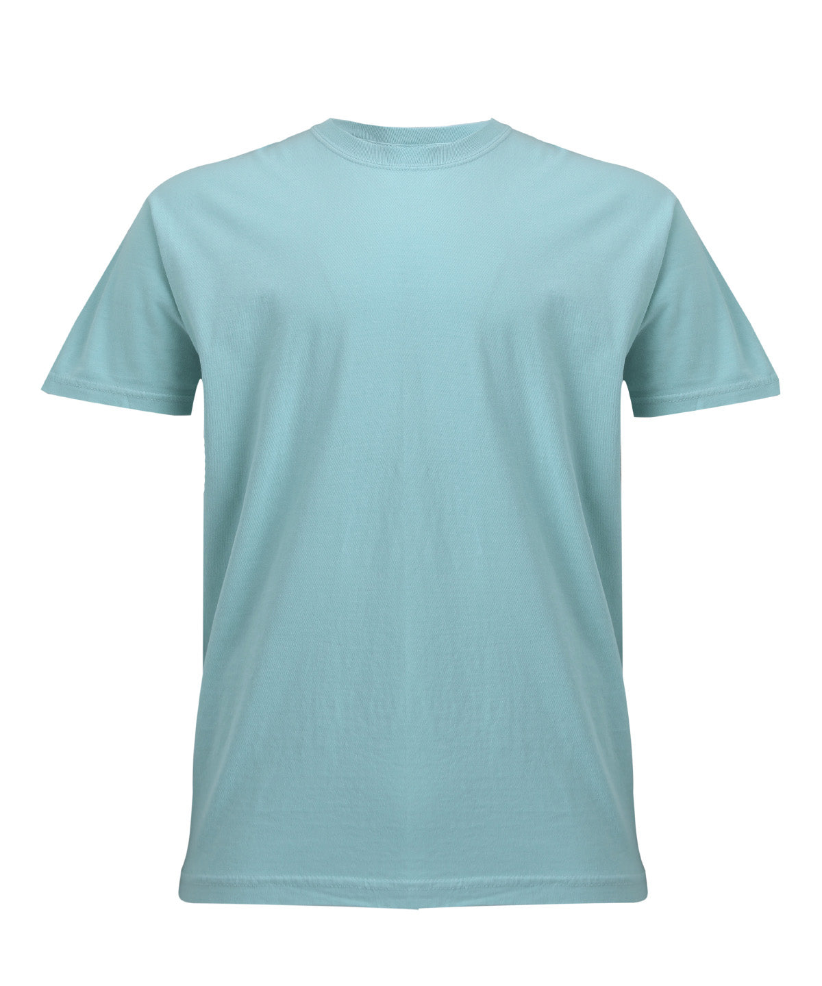 Heavyweight Adult T-Shirt in Chalky Mint, front view