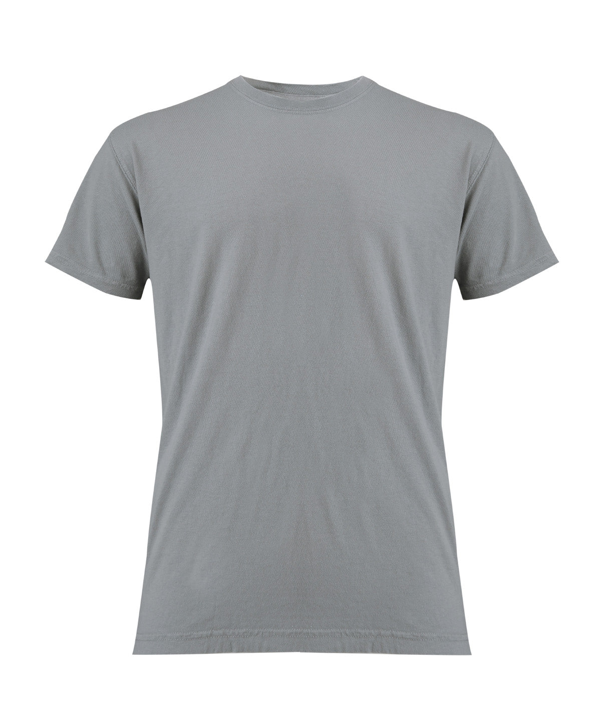 Heavyweight Adult T-Shirt in Grey, front view