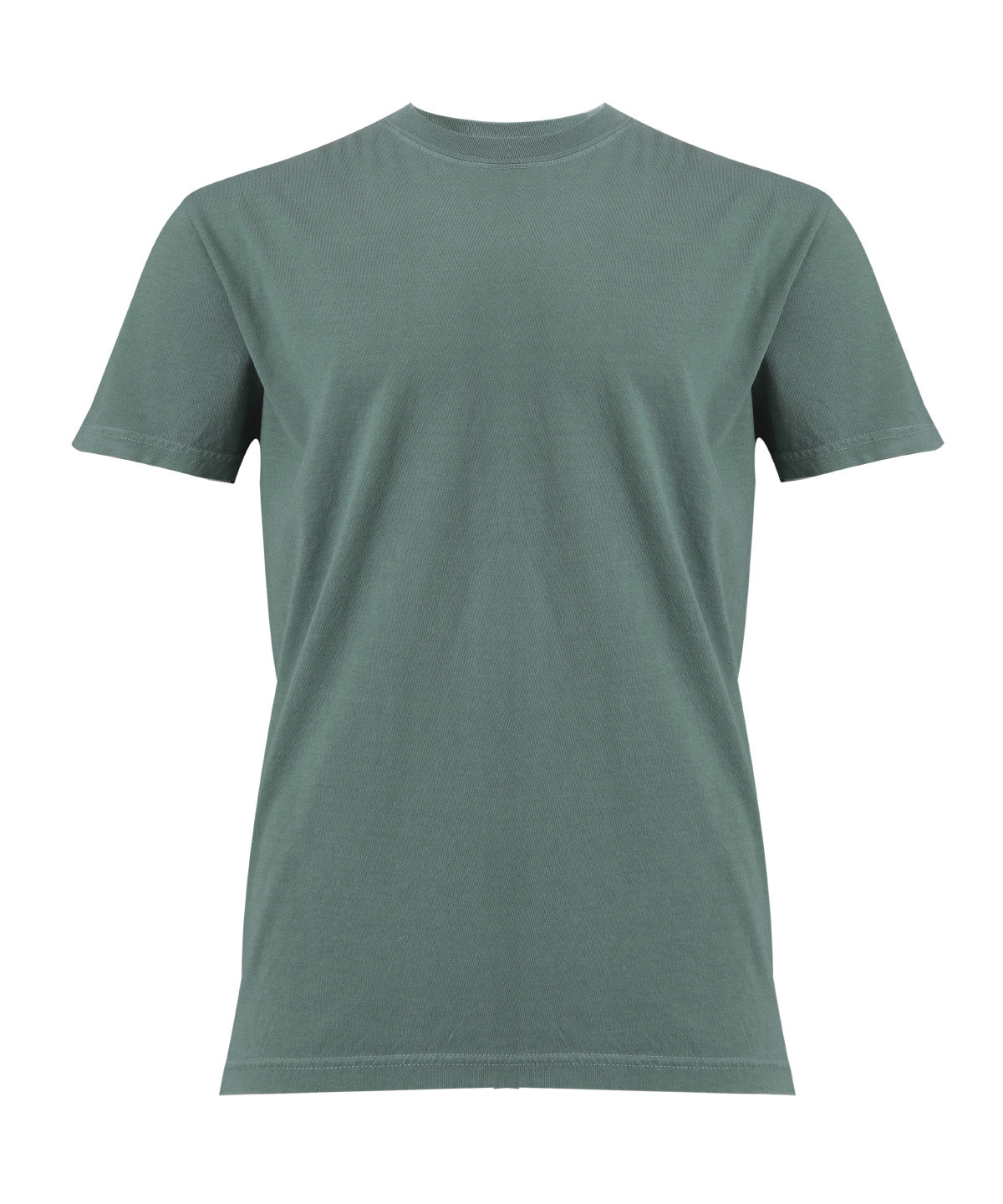 Heavyweight Adult T-Shirt in Light Green, front view