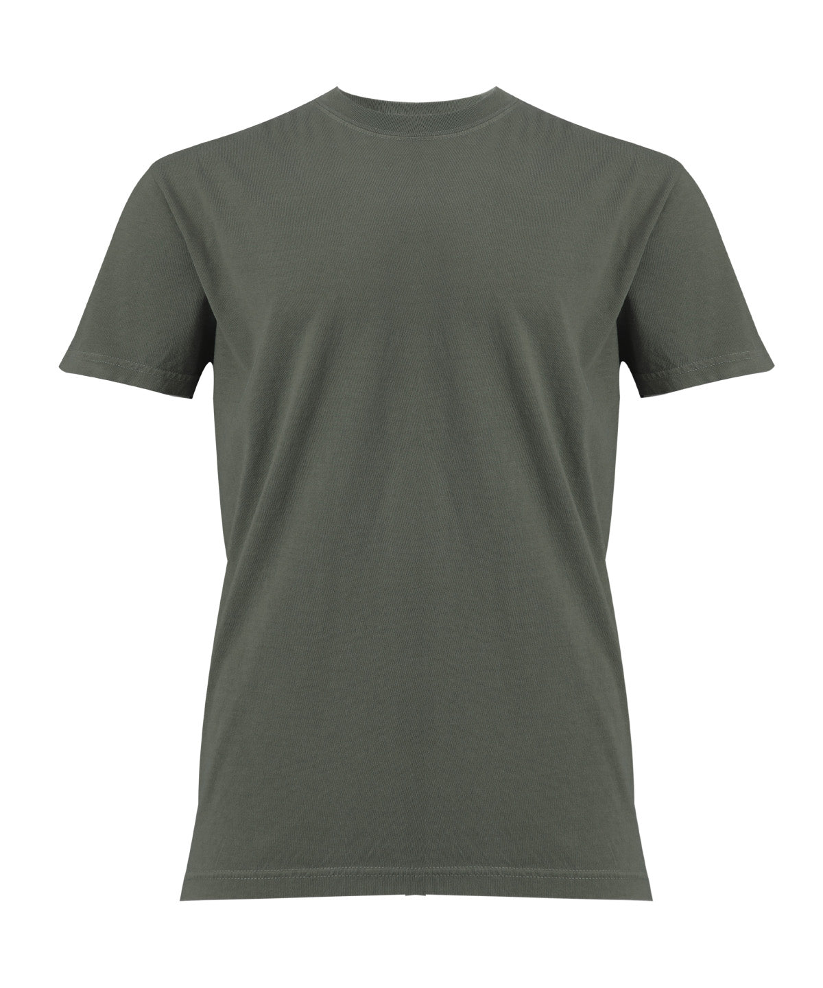 Heavyweight Adult T-Shirt in Moss, front view