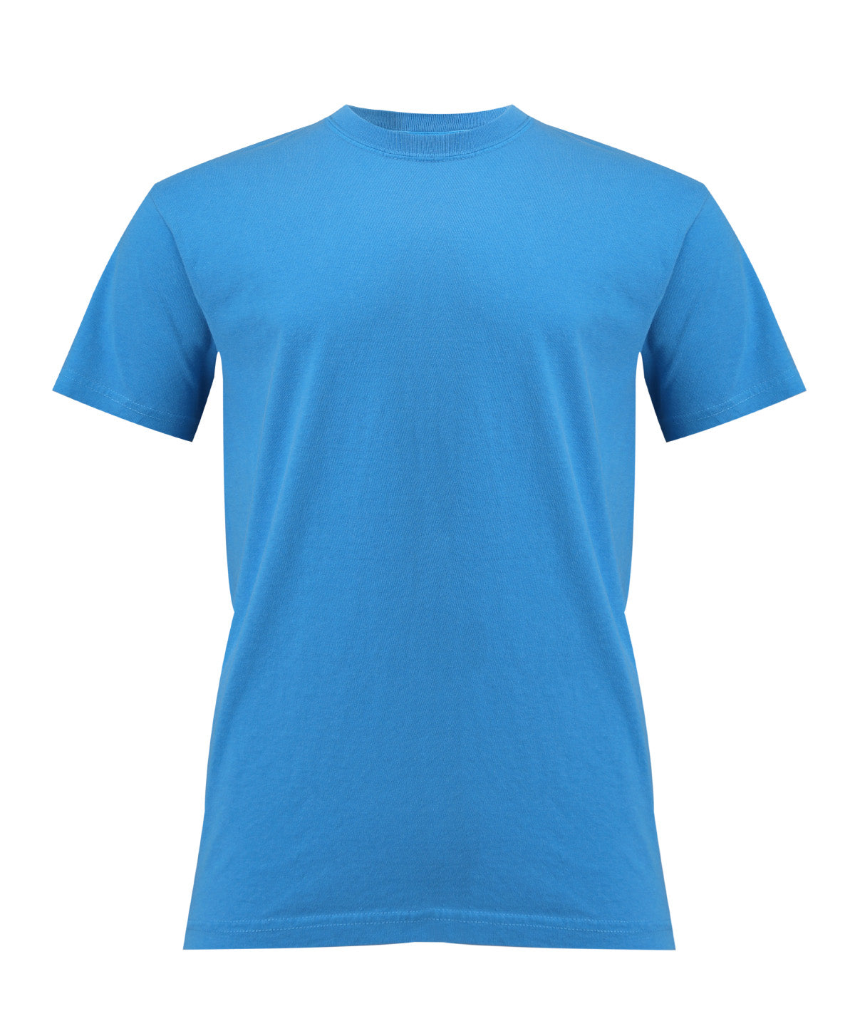 Heavyweight Adult T-Shirt in Royal Caribe, front view