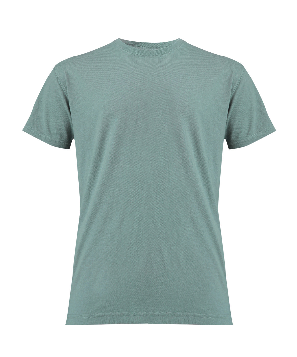 Heavyweight Adult T-Shirt in Seafoam, front view