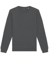 Roller Unisex Crew Neck Sweatshirt (Stsu868) in Anthracite, front view