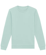 Roller Unisex Crew Neck Sweatshirt (Stsu868) in Caribbean Blue, front view