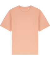 Freestyler Relaxed Heavy T-Shirt (Sttu788) in Fraiche Peche, front view