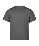Unlabeled Loose Fit Tee (1160) in Powder Grey, front view