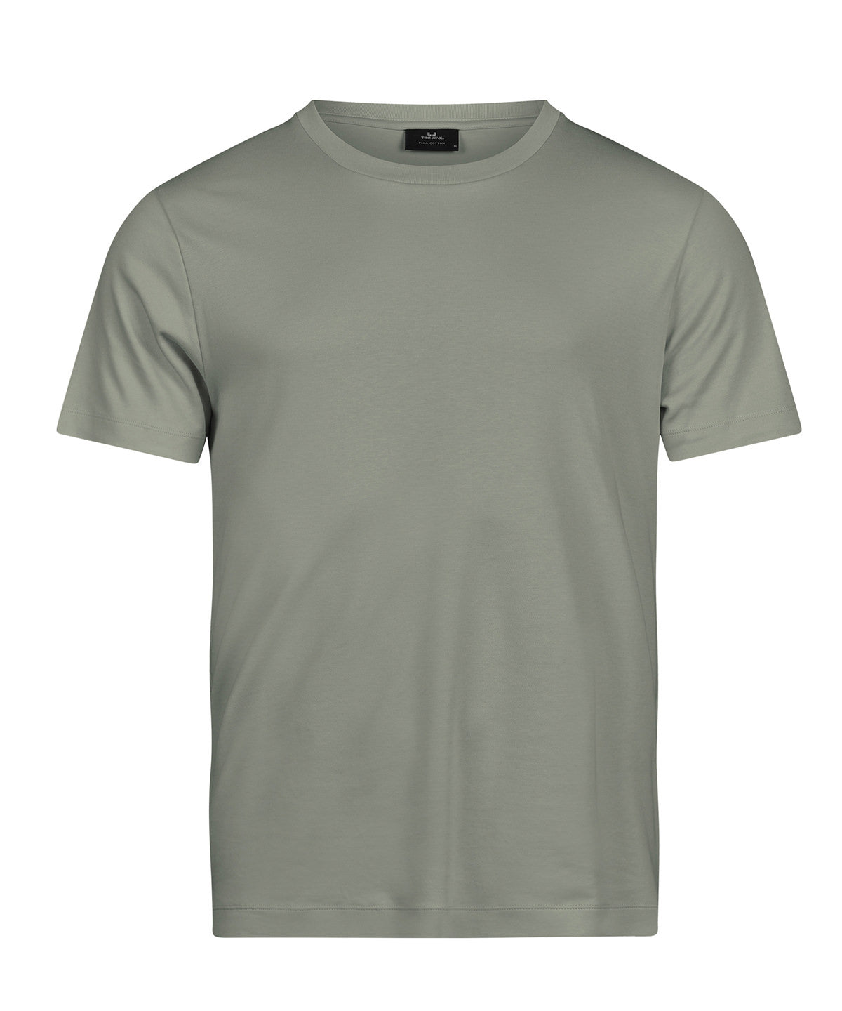 Pima Cotton Tee (1450) in Sage, front view